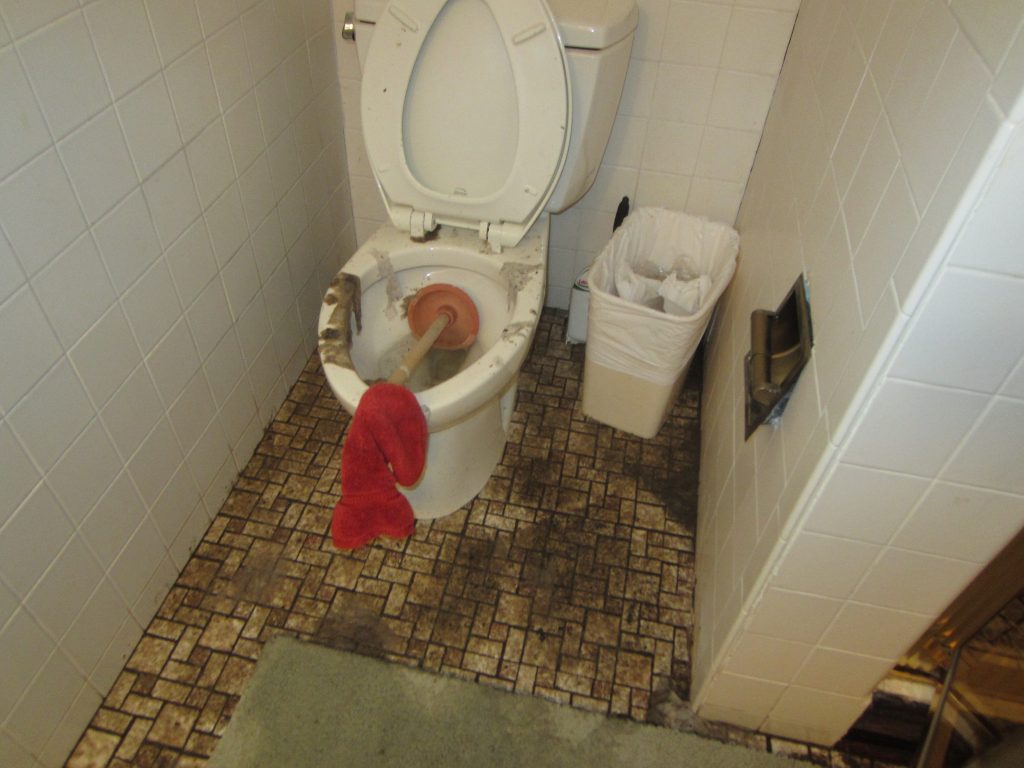 sewage damage cleanup service